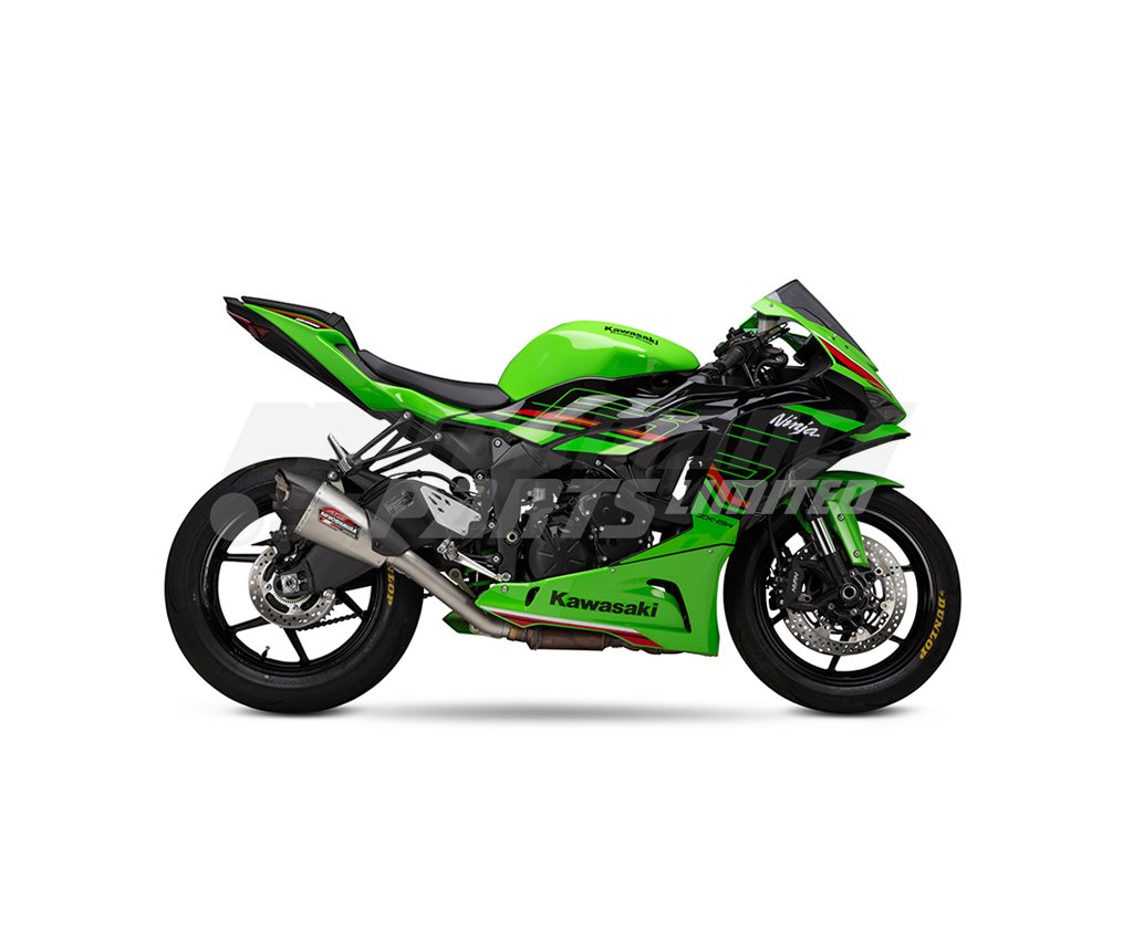 原画 狼 #104 Mug Kawasaki Ninja ZX6R Beast | 2019-2023 – Moto Animals